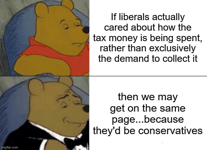 'Give $100 to the guy who keeps losing $100!' | If liberals actually cared about how the tax money is being spent, rather than exclusively the demand to collect it; then we may get on the same page...because they'd be conservatives | image tagged in memes,tuxedo winnie the pooh | made w/ Imgflip meme maker