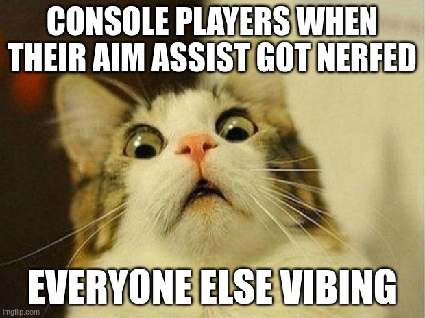 Scared Cat | CONSOLE PLAYERS WHEN THEIR AIM ASSIST GOT NERFED; EVERYONE ELSE VIBING | image tagged in memes,scared cat | made w/ Imgflip meme maker