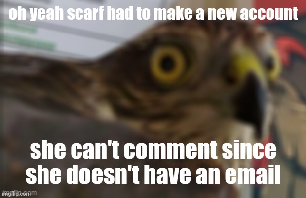 shocked bird | oh yeah scarf had to make a new account; she can't comment since she doesn't have an email | image tagged in shocked bird | made w/ Imgflip meme maker