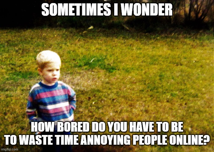 "I wonder" boy | SOMETIMES I WONDER; HOW BORED DO YOU HAVE TO BE TO WASTE TIME ANNOYING PEOPLE ONLINE? | image tagged in i wonder boy | made w/ Imgflip meme maker