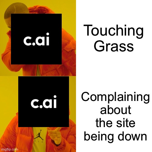 Drake Hotline Bling | Touching Grass; Complaining about the site being down | image tagged in memes,drake hotline bling | made w/ Imgflip meme maker