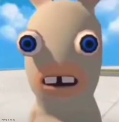 Idiot Rabbid | image tagged in idiot rabbid | made w/ Imgflip meme maker