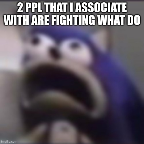 acquaintances so to speak | 2 PPL THAT I ASSOCIATE WITH ARE FIGHTING WHAT DO | image tagged in distress | made w/ Imgflip meme maker