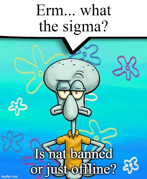 Erm... what the sigma? | Is nat banned or just offline? | image tagged in erm what the sigma | made w/ Imgflip meme maker