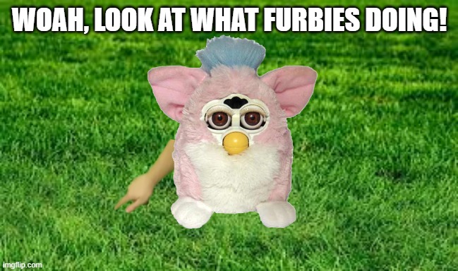 Furby Touches Grass | WOAH, LOOK AT WHAT FURBIES DOING! | image tagged in touching grass | made w/ Imgflip meme maker