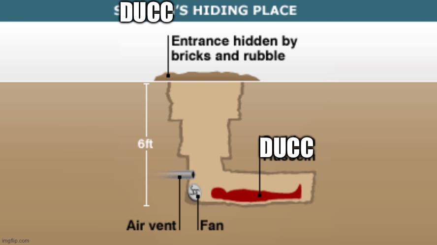 Real time photo of me hiding from this stream | DUCC; DUCC | image tagged in saddam's hiding place | made w/ Imgflip meme maker