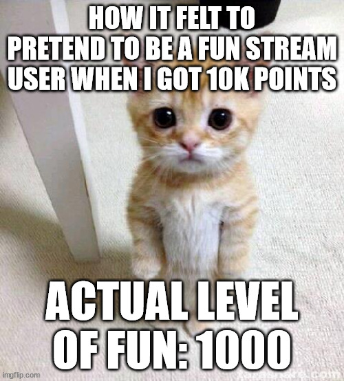 ai memes | HOW IT FELT TO PRETEND TO BE A FUN STREAM USER WHEN I GOT 10K POINTS; ACTUAL LEVEL OF FUN: 1000 | image tagged in memes,cute cat | made w/ Imgflip meme maker