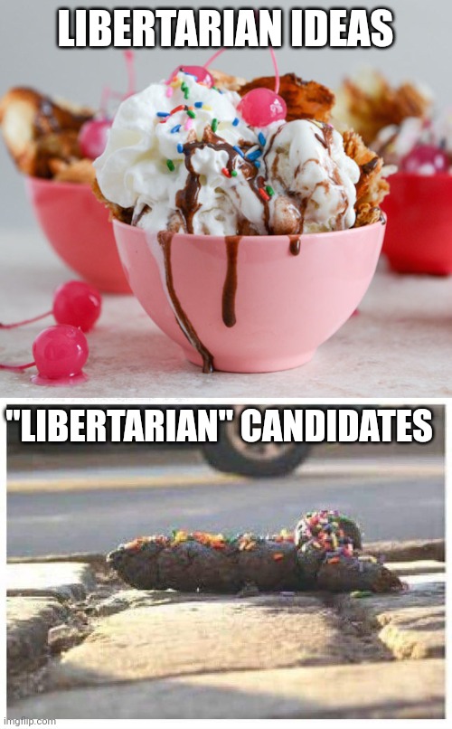 Libertarian Candidates | LIBERTARIAN IDEAS; "LIBERTARIAN" CANDIDATES | image tagged in ice cream sundae,poop with sprinkles,libertarians,libertarianism,neckbeard libertarian | made w/ Imgflip meme maker