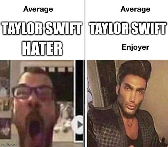 TAYLOR SWIFT TAYLOR SWIFT HATER | image tagged in average fan vs average enjoyer | made w/ Imgflip meme maker