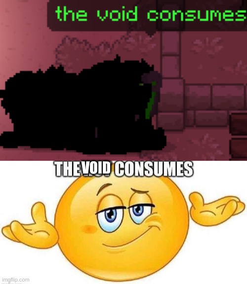VOID | image tagged in the rot consumes | made w/ Imgflip meme maker
