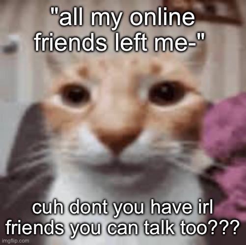 Straight face cat | "all my online friends left me-"; cuh dont you have irl friends you can talk too??? | image tagged in straight face cat | made w/ Imgflip meme maker