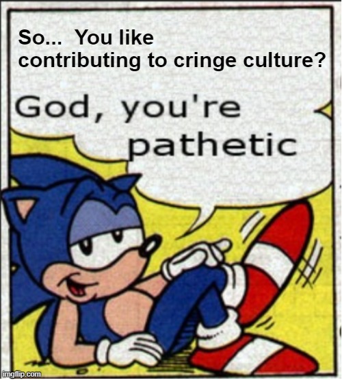 Cringe Culture is Cringe | So...  You like contributing to cringe culture? | image tagged in god you're pathetic,sonic the hedgehog,cringe | made w/ Imgflip meme maker
