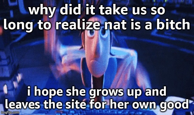 glad i finally hopped on during something interesting | why did it take us so long to realize nat is a bitch; i hope she grows up and leaves the site for her own good | image tagged in flintlock temp | made w/ Imgflip meme maker