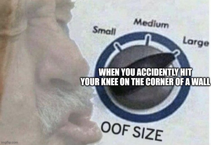 My knee!!! | WHEN YOU ACCIDENTLY HIT YOUR KNEE ON THE CORNER OF A WALL | image tagged in oof size large,relatable memes,relatable,funny,funny memes,jpfan102504 | made w/ Imgflip meme maker