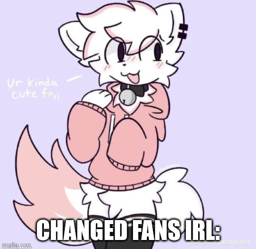 They are furries and trash irl | CHANGED FANS IRL: | image tagged in boykisser glow up,changed,fans,furry | made w/ Imgflip meme maker