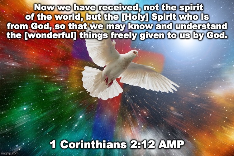 Spiritual Wisdom | Now we have received, not the spirit of the world, but the [Holy] Spirit who is from God, so that we may know and understand the [wonderful] things freely given to us by God. 1 Corinthians 2:12 AMP | image tagged in christ the power and wisdom of god | made w/ Imgflip meme maker