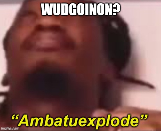 Wudgoinon | WUDGOINON? | image tagged in ambatuexplode | made w/ Imgflip meme maker