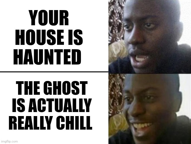My house is haunted by a chill ghost | YOUR HOUSE IS HAUNTED; THE GHOST IS ACTUALLY REALLY CHILL | image tagged in reversed disappointed black man,ghosts,jpfan102504 | made w/ Imgflip meme maker