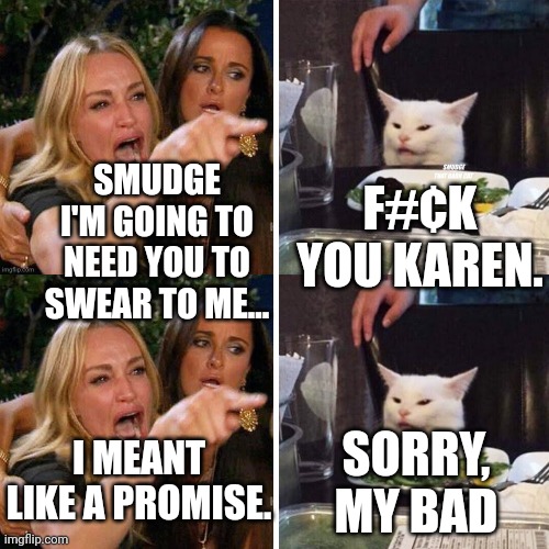 F#¢K YOU KAREN. SMUDGE I'M GOING TO NEED YOU TO SWEAR TO ME... I MEANT LIKE A PROMISE. SORRY, MY BAD | image tagged in smudge that darn cat with karen,smudge the cat | made w/ Imgflip meme maker