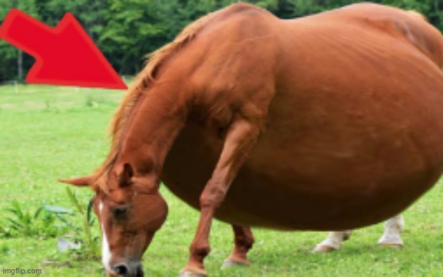 fatass | made w/ Imgflip meme maker