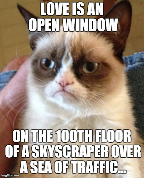 Grumpy Cat Meme | LOVE IS AN OPEN WINDOW ON THE 100TH FLOOR OF A SKYSCRAPER OVER A SEA OF TRAFFIC... | image tagged in memes,grumpy cat | made w/ Imgflip meme maker