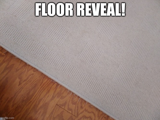 Thank you to all of my 60 followers! And thank you, GreyIsNotHot, for the suggestion! :D | FLOOR REVEAL! | made w/ Imgflip meme maker