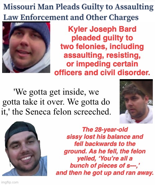 Run, run, as fast as he can, Kyler must be a Josh Hawley fan | image tagged in assault,domestic terrorist,parents named him kyler,not so tuff mouse in a crowd,treason | made w/ Imgflip meme maker