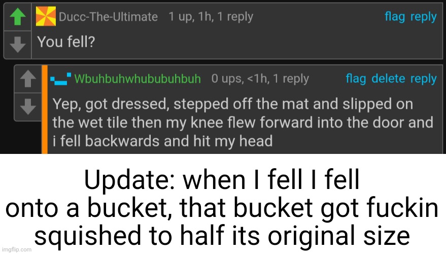 Update: when I fell I fell onto a bucket, that bucket got fuckin squished to half its original size | made w/ Imgflip meme maker