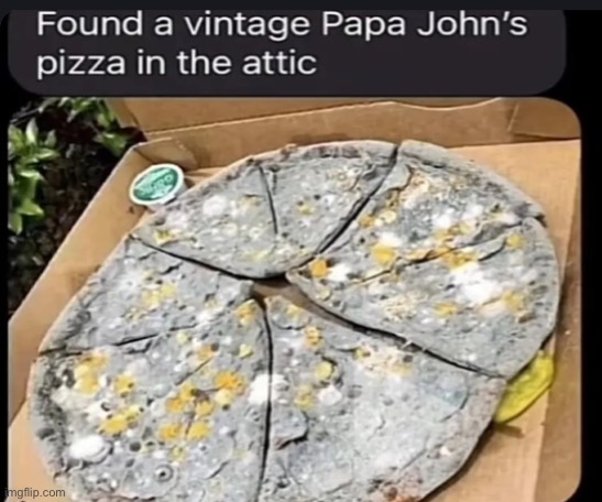 nah this is so disgusting | image tagged in memes,funny,papa johns | made w/ Imgflip meme maker