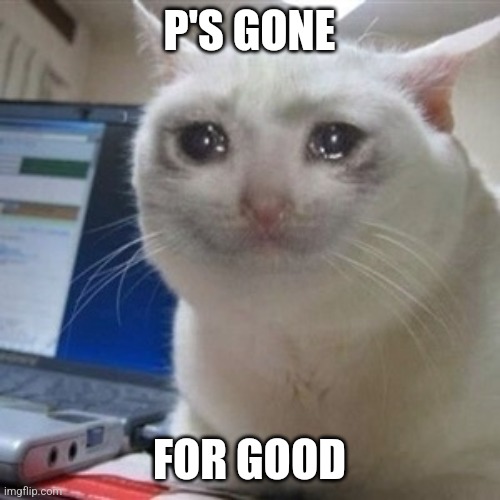 He was one of the best people here. He kept the stream alive. I'm gonna miss him. | P'S GONE; FOR GOOD | image tagged in crying cat | made w/ Imgflip meme maker