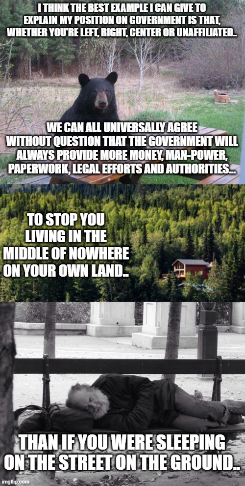 I THINK THE BEST EXAMPLE I CAN GIVE TO EXPLAIN MY POSITION ON GOVERNMENT IS THAT, WHETHER YOU'RE LEFT, RIGHT, CENTER OR UNAFFILIATED.. WE CAN ALL UNIVERSALLY AGREE WITHOUT QUESTION THAT THE GOVERNMENT WILL ALWAYS PROVIDE MORE MONEY, MAN-POWER, PAPERWORK, LEGAL EFFORTS AND AUTHORITIES... TO STOP YOU LIVING IN THE MIDDLE OF NOWHERE ON YOUR OWN LAND.. THAN IF YOU WERE SLEEPING ON THE STREET ON THE GROUND.. | image tagged in bear at picnic table,homestead,homeless | made w/ Imgflip meme maker
