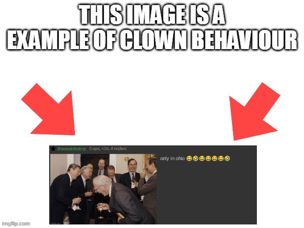 I don't mean the funny meaning of course. | image tagged in this image is a example of clown behaviour | made w/ Imgflip meme maker