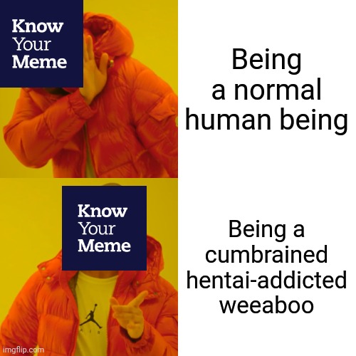 Drake Hotline Bling Meme | Being a normal human being Being a cumbrained hentai-addicted weeaboo | image tagged in memes,drake hotline bling | made w/ Imgflip meme maker