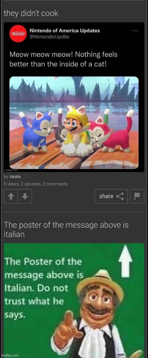 Mario!? What did you do!? | image tagged in mario,cursed,imgflip,cat | made w/ Imgflip meme maker