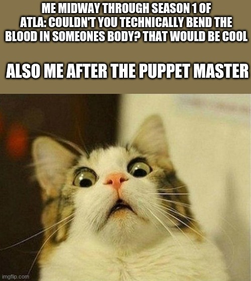 Scared Cat | ME MIDWAY THROUGH SEASON 1 OF ATLA: COULDN'T YOU TECHNICALLY BEND THE BLOOD IN SOMEONES BODY? THAT WOULD BE COOL; ALSO ME AFTER THE PUPPET MASTER | image tagged in memes,scared cat | made w/ Imgflip meme maker