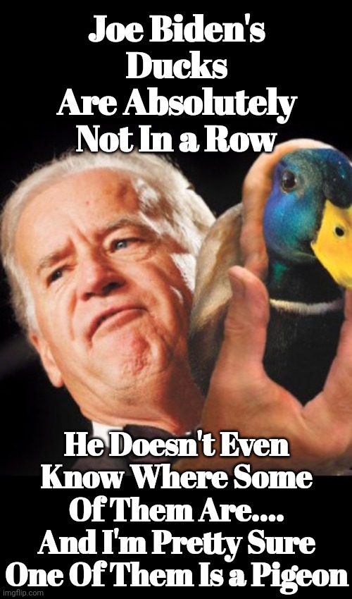 Feeble Frail Fool | Joe Biden's Ducks Are Absolutely Not In a Row; He Doesn't Even Know Where Some Of Them Are.... And I'm Pretty Sure One Of Them Is a Pigeon | image tagged in joe biden,dementia | made w/ Imgflip meme maker