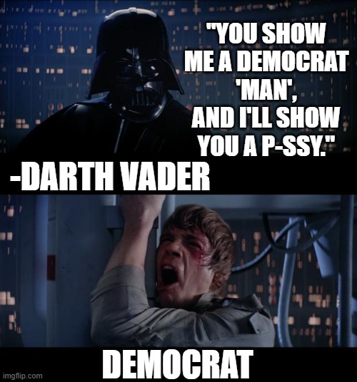 Such an iconic villain, we ALL remember this scene forever | "YOU SHOW ME A DEMOCRAT 'MAN', AND I'LL SHOW YOU A P-SSY."; -DARTH VADER; DEMOCRAT | image tagged in memes,star wars no | made w/ Imgflip meme maker