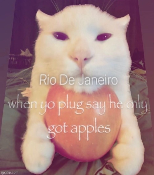 Rio de Janerio | image tagged in rio de janerio | made w/ Imgflip meme maker