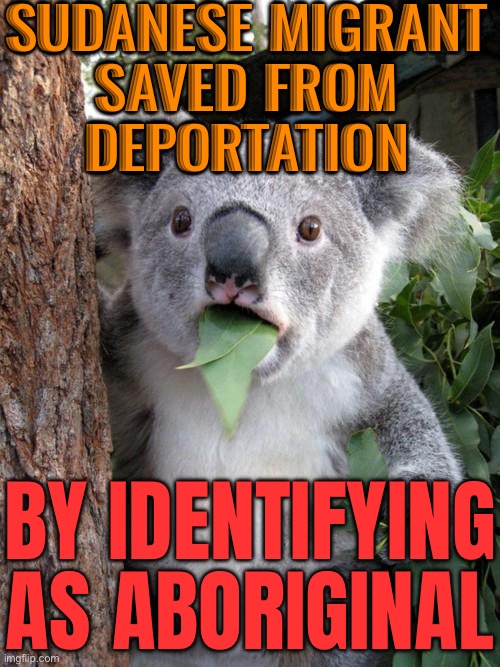 Sudanese Migrant Saved From Deportation By Identifying As Aboriginal | SUDANESE MIGRANT
SAVED FROM
DEPORTATION; BY IDENTIFYING AS ABORIGINAL | image tagged in memes,surprised koala,african,meanwhile in australia,australia,politics lol | made w/ Imgflip meme maker