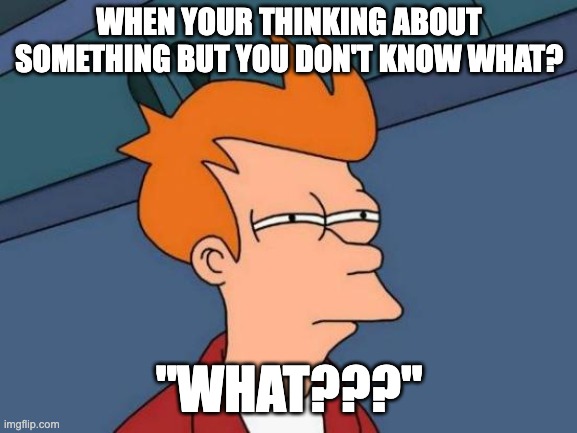 Futurama Fry | WHEN YOUR THINKING ABOUT SOMETHING BUT YOU DON'T KNOW WHAT? "WHAT???" | image tagged in memes,futurama fry | made w/ Imgflip meme maker