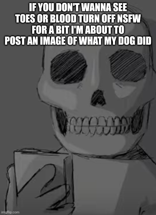 Wtf... | IF YOU DON'T WANNA SEE TOES OR BLOOD TURN OFF NSFW FOR A BIT I'M ABOUT TO POST AN IMAGE OF WHAT MY DOG DID | image tagged in wtf | made w/ Imgflip meme maker