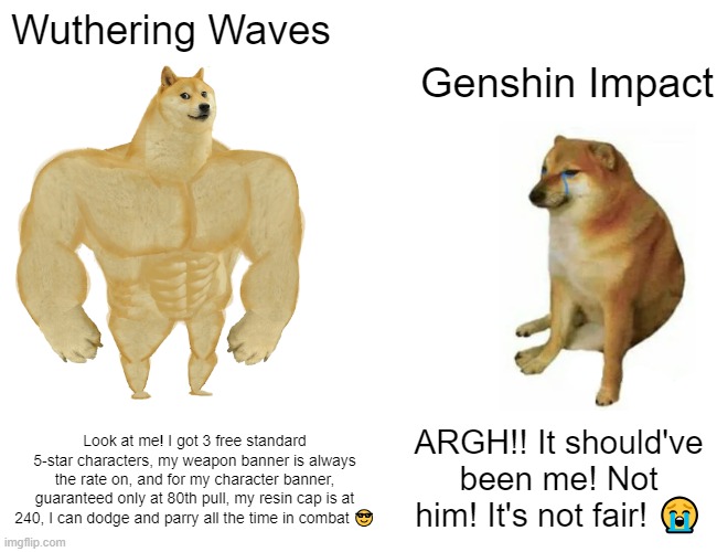 WuWa vs Genshin | Wuthering Waves; Genshin Impact; Look at me! I got 3 free standard 5-star characters, my weapon banner is always the rate on, and for my character banner, guaranteed only at 80th pull, my resin cap is at 240, I can dodge and parry all the time in combat 😎; ARGH!! It should've been me! Not him! It's not fair! 😭 | image tagged in memes,buff doge vs cheems | made w/ Imgflip meme maker