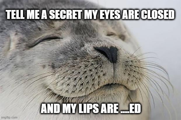 Satisfied Seal | TELL ME A SECRET MY EYES ARE CLOSED; AND MY LIPS ARE ....ED | image tagged in memes,satisfied seal | made w/ Imgflip meme maker