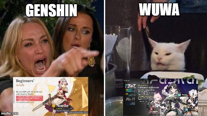 Genshin vs WuWa: Beginner's gacha | GENSHIN; WUWA | image tagged in angry lady cat | made w/ Imgflip meme maker