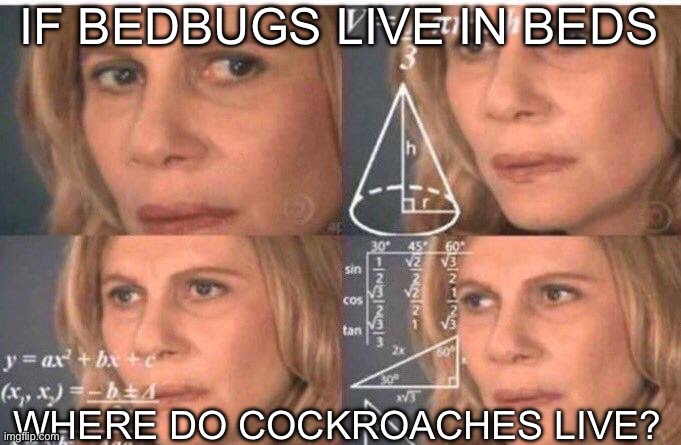 Why am I so dirty minded?? | IF BEDBUGS LIVE IN BEDS; WHERE DO COCKROACHES LIVE? | image tagged in math lady/confused lady | made w/ Imgflip meme maker