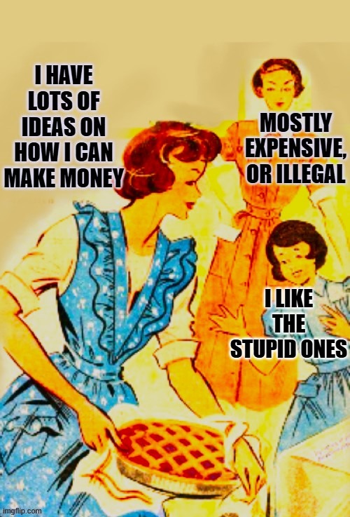 Shoestring Budgeting | I LIKE THE STUPID ONES | image tagged in budget | made w/ Imgflip meme maker