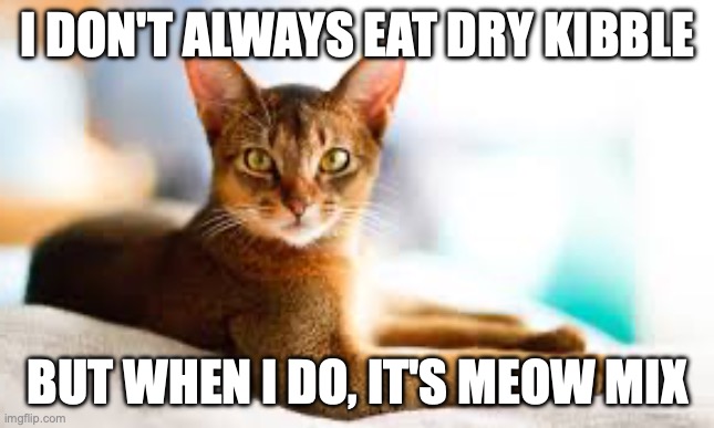 The most interesting cat in the world loves his meow mix | I DON'T ALWAYS EAT DRY KIBBLE; BUT WHEN I DO, IT'S MEOW MIX | image tagged in most interesting cat in the world | made w/ Imgflip meme maker