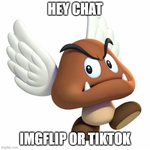 GrimNemo anouncement template | HEY CHAT; IMGFLIP OR TIKTOK | image tagged in grimnemo anouncement template | made w/ Imgflip meme maker