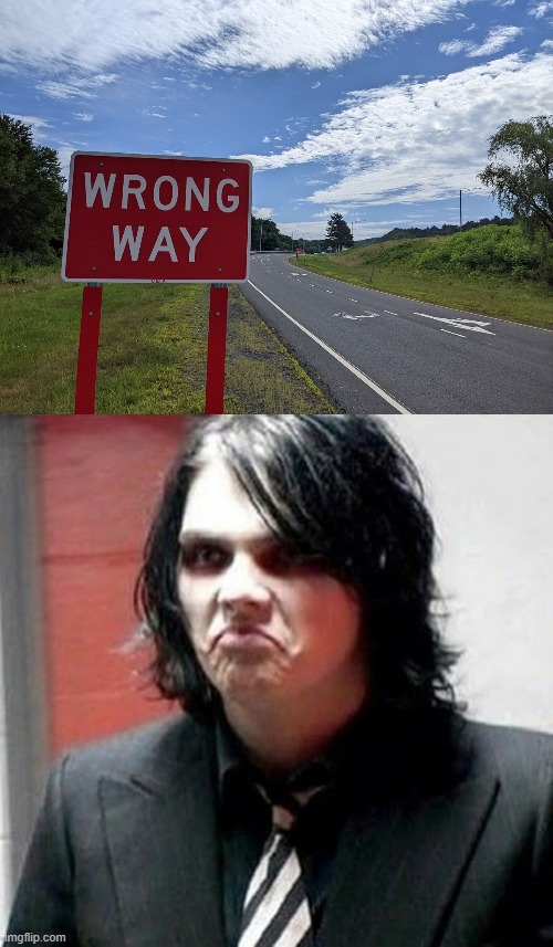 Gerard Way sees a sign | image tagged in gerard way,wrong way,funny | made w/ Imgflip meme maker