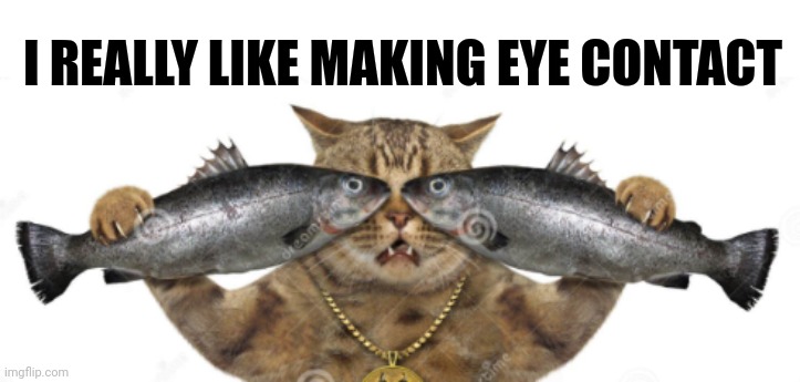 NOT SO AWKWARD | I REALLY LIKE MAKING EYE CONTACT | image tagged in you are gonna like it,fun | made w/ Imgflip meme maker